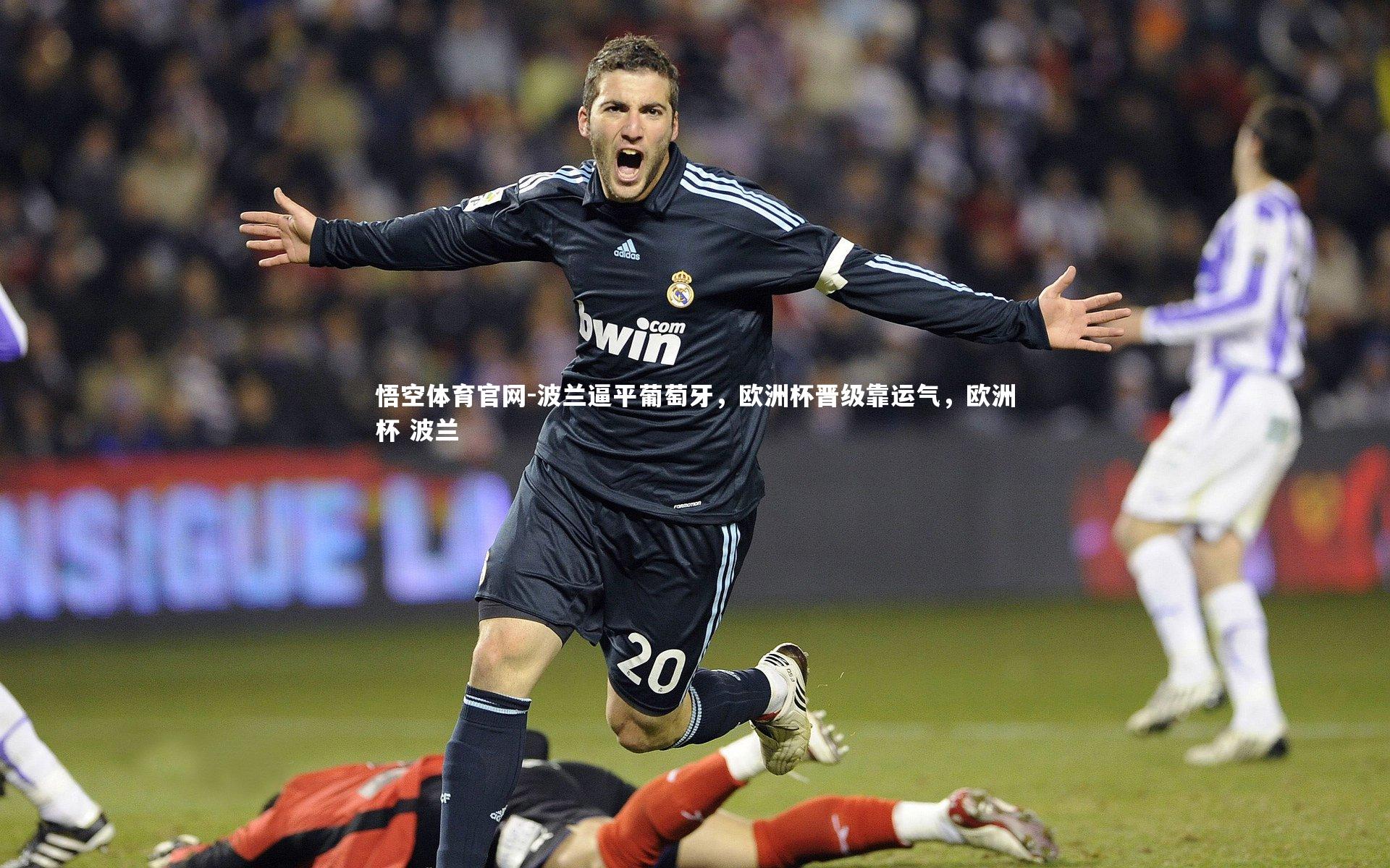 波兰逼平葡萄牙,欧洲杯晋级靠运气,欧洲杯 波兰