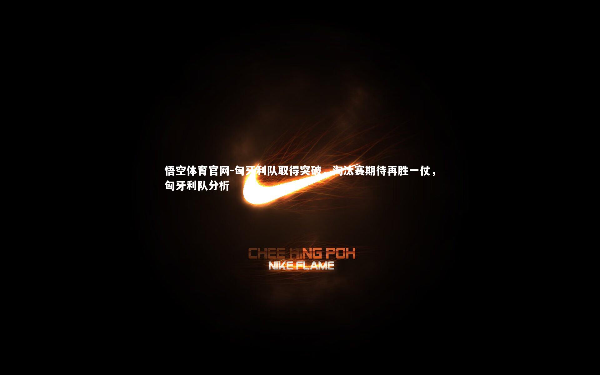 匈牙利队取得突破,淘汰赛期待再胜一仗,匈牙利队分析