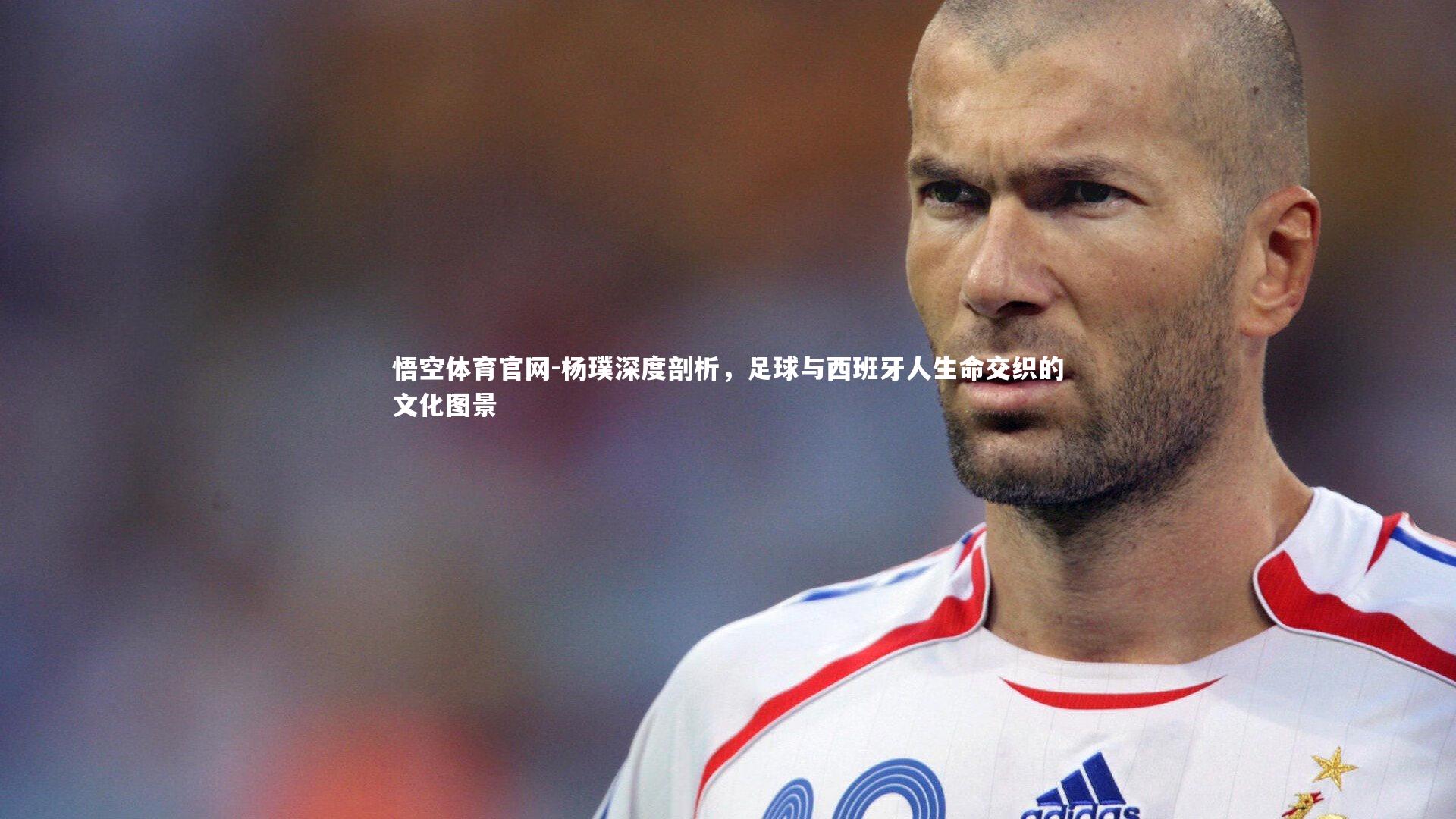 杨璞深度剖析,足球与西班牙人生命交织的文化图景